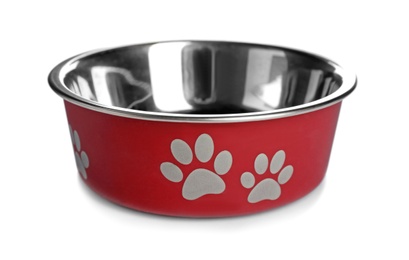 Cat bowl on white background. Pet care