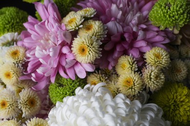 Beautiful tender chrysanthemum flowers as background, top view