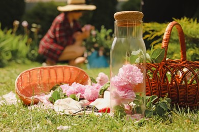 Photo of Glass bottle with beautiful tea roses, baskets and flowers in garden on sunny day