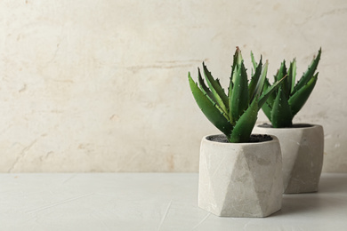 Artificial plants in cement flower pots on table against light background. Space for text