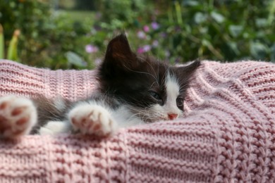 Cute cat resting on pink knitted fabric outdoors