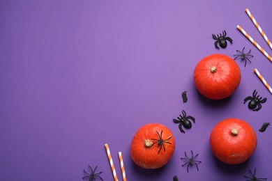 Photo of Flat lay composition with pumpkins, straws and spiders on purple background, space for text. Halloween decor