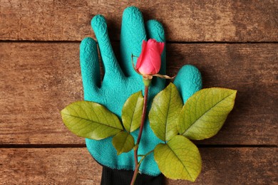Gardening gloves with beautiful rose on wooden table, top view