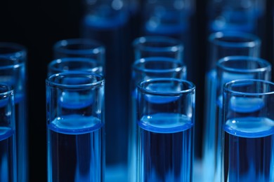 Test tubes with blue reagents, closeup. Laboratory analysis