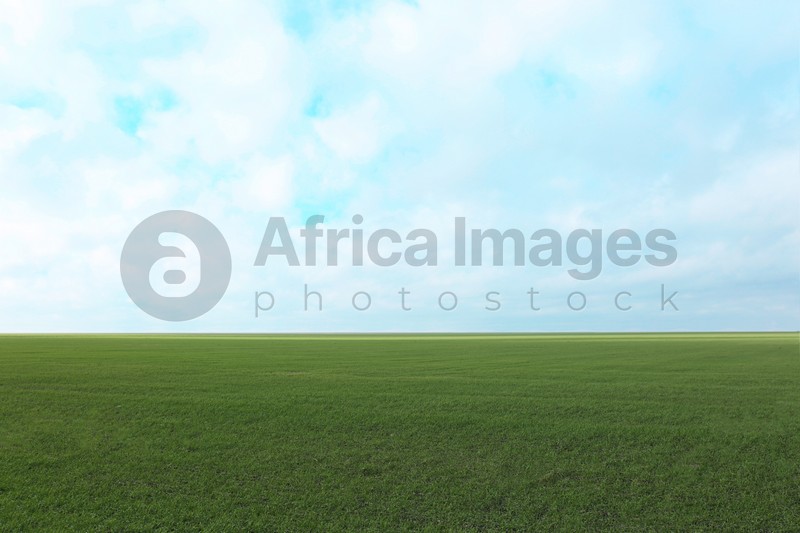 Photo of Picturesque view of beautiful countryside landscape with green grass