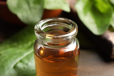 Bottle of broadleaf plantain extract, closeup view