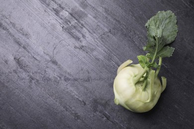 Whole ripe kohlrabi plant on grey table, top view. Space for text