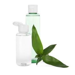 Bottles of micellar cleansing water and green plant on white background