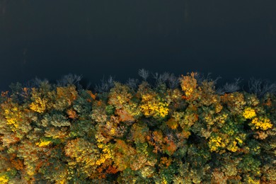 Aerial view of beautiful autumn forest on riverbank