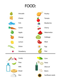 Illustrations and food list on white background. Nutritionist's recommendations