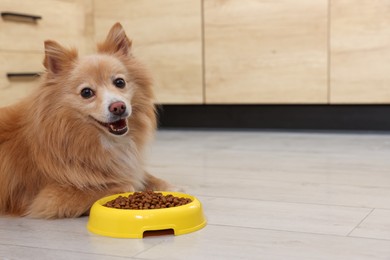 Photo of Cute Pomeranian spitz dog near feeding bowl with food on floor indoors, space for text