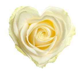 Beautiful rose in shape of heart on white background