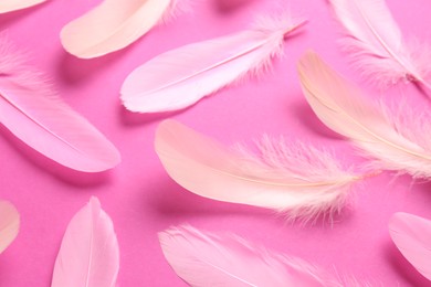 Beautiful feathers on pink background, closeup view