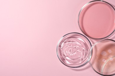 Photo of Petri dishes with liquids on pale pink background, flat lay. Space for text