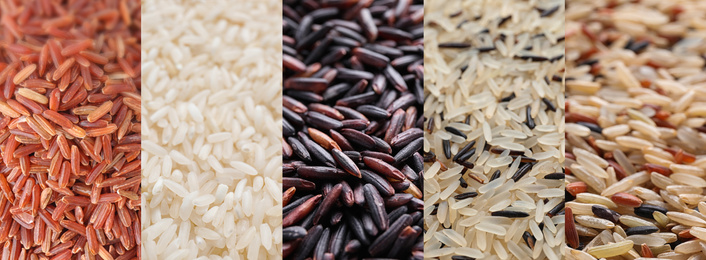 Collage with different types of rice, closeup. Banner design