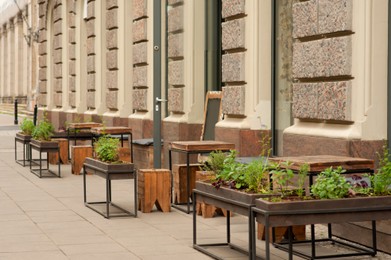 Wooden stools and tables near cafeteria outdoors