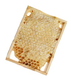 Wooden hive frame with honeycomb isolated on white, top view. Beekeeping