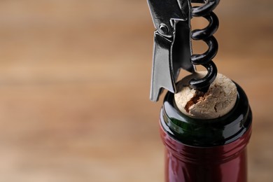Opening wine bottle with corkscrew on blurred background, closeup. Space for text