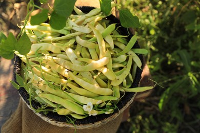 Wicker basket with fresh green beans on stool in garden