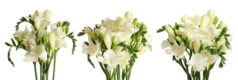 Set with beautiful fragrant freesia flowers on white background. Banner design