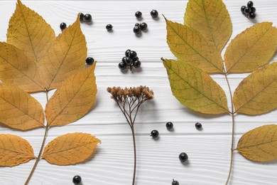Flat lay composition with autumn leaves, dried yarrow flower and black berries on white wooden table