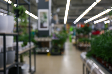 Blurred view of gardening department in mall. Bokeh effect