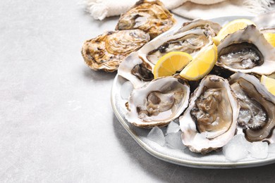 Fresh oysters with lemon and ice on grey table, closeup. Space for text