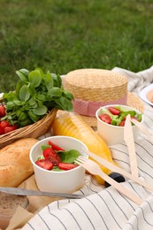 Picnic blanket with juice and food on green grass