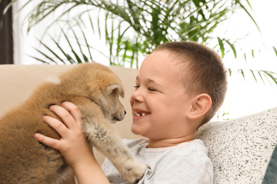 Little boy with Akita inu puppy on sofa at home. Friendly dog