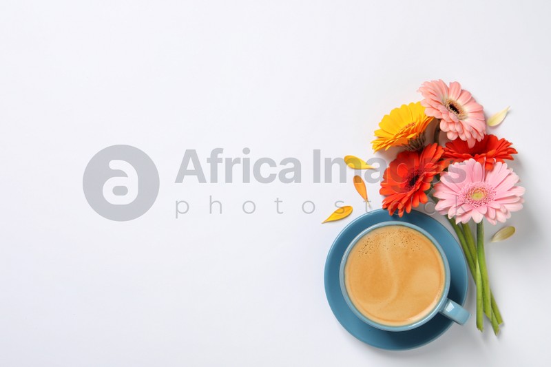 Beautiful colorful gerbera flowers, petals and cup of coffee on white background, flat lay. Space for text