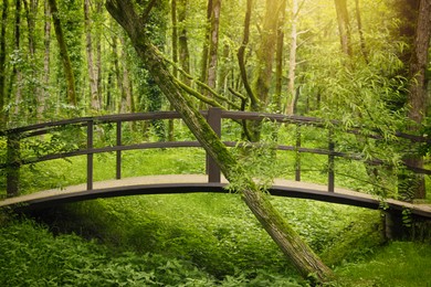 Picturesque view of tranquil park with green plants and bridge