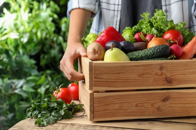 Farmer with crate full of different vegetables and fruits outdoors, closeup. Harvesting time