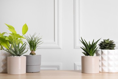 Photo of Different house plants in pots on wooden table. Space for text
