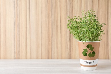 Seedling of fresh thyme in paper cup with recycling symbol on white table near wooden wall. Space for text