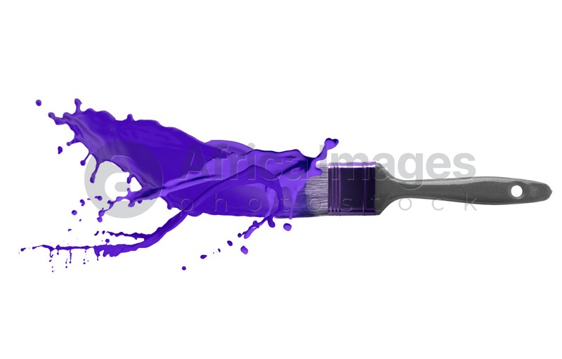 Brush and splashing violet paint on white background