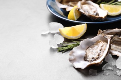 Fresh oysters with lemon, rosemary and ice on grey table, closeup. Space for text