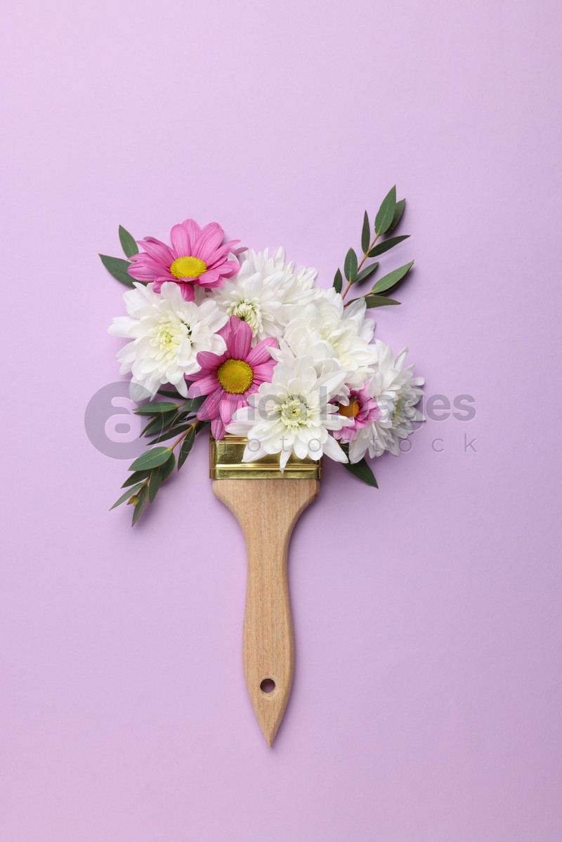 Brush with colorful flowers of chrysanthemum on violet background, top view. Creative concept
