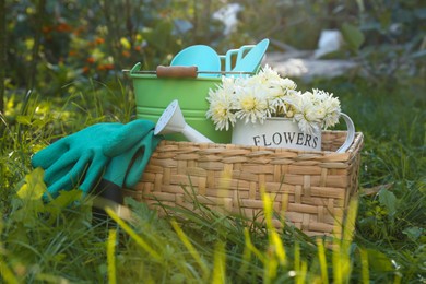Basket with watering can, gardening tools and rubber gloves on green grass outdoors