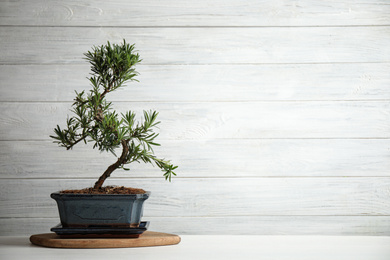 Japanese bonsai plant on white wooden table, space for text. Creating zen atmosphere at home