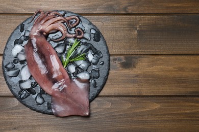 Photo of Fresh raw squid with ice and rosemary on wooden table, top view. Space for text