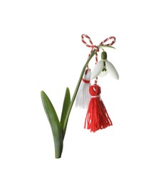 Beautiful snowdrop with traditional martisor on white background. Symbol of first spring day