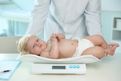 Pediatrician weighting baby on scale in hospital. Healthy growth