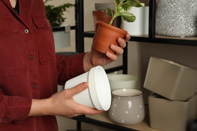 Photo of Woman holding houseplant and new pot indoors, closeup