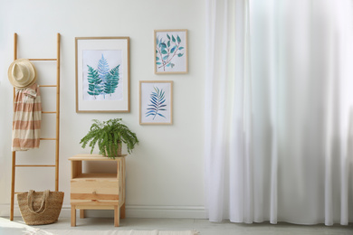 Photo of Beautiful paintings and plant at home. Idea for interior design