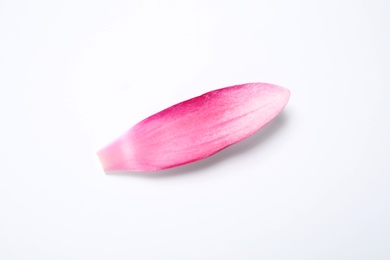 Beautiful pink lotus flower petal isolated on white, top view