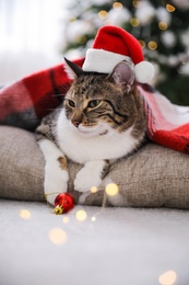 Photo of Cute cat wearing Santa hat covered with plaid in room decorated for Christmas