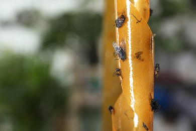 Sticky insect tape with dead flies on blurred background, closeup. Space for text