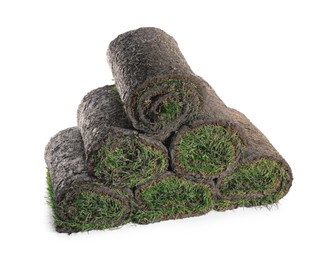 Rolls of grass sod on white background