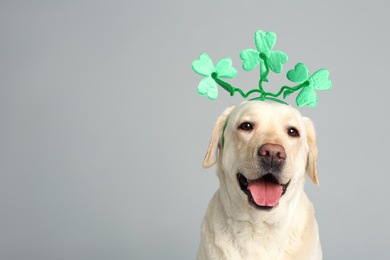 Labrador retriever with clover leaves headband on light grey background, space for text. St. Patrick's day