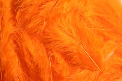 Many beautiful fluffy orange feathers as background, top view